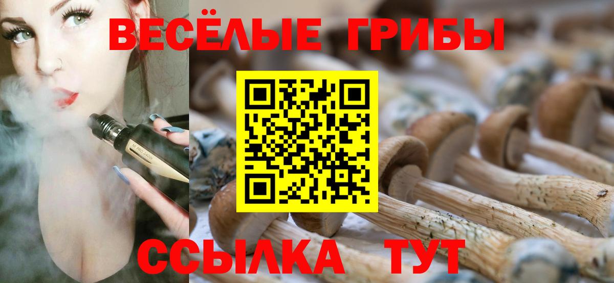 Галлюциногенные грибы мицелий Курганинск